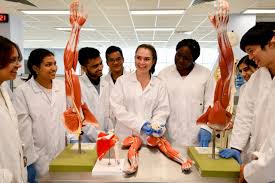 Medicine & Health Sciences